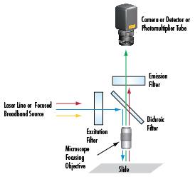 Giai photnics co. , ltd m.resurrectionbicycle.com