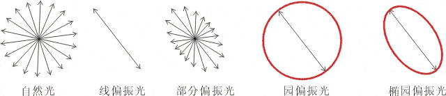 什么是偏振光？偏振光是如何完成檢測的？