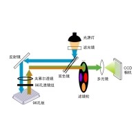什么是熒光定量PCR、數(shù)字PCR？