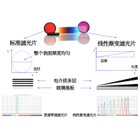 線性漸變?yōu)V光片是什么？有何特點(diǎn)？